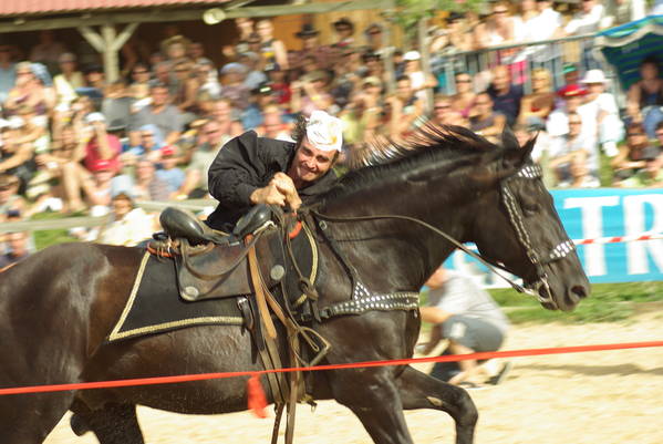 imgp2633.jpg